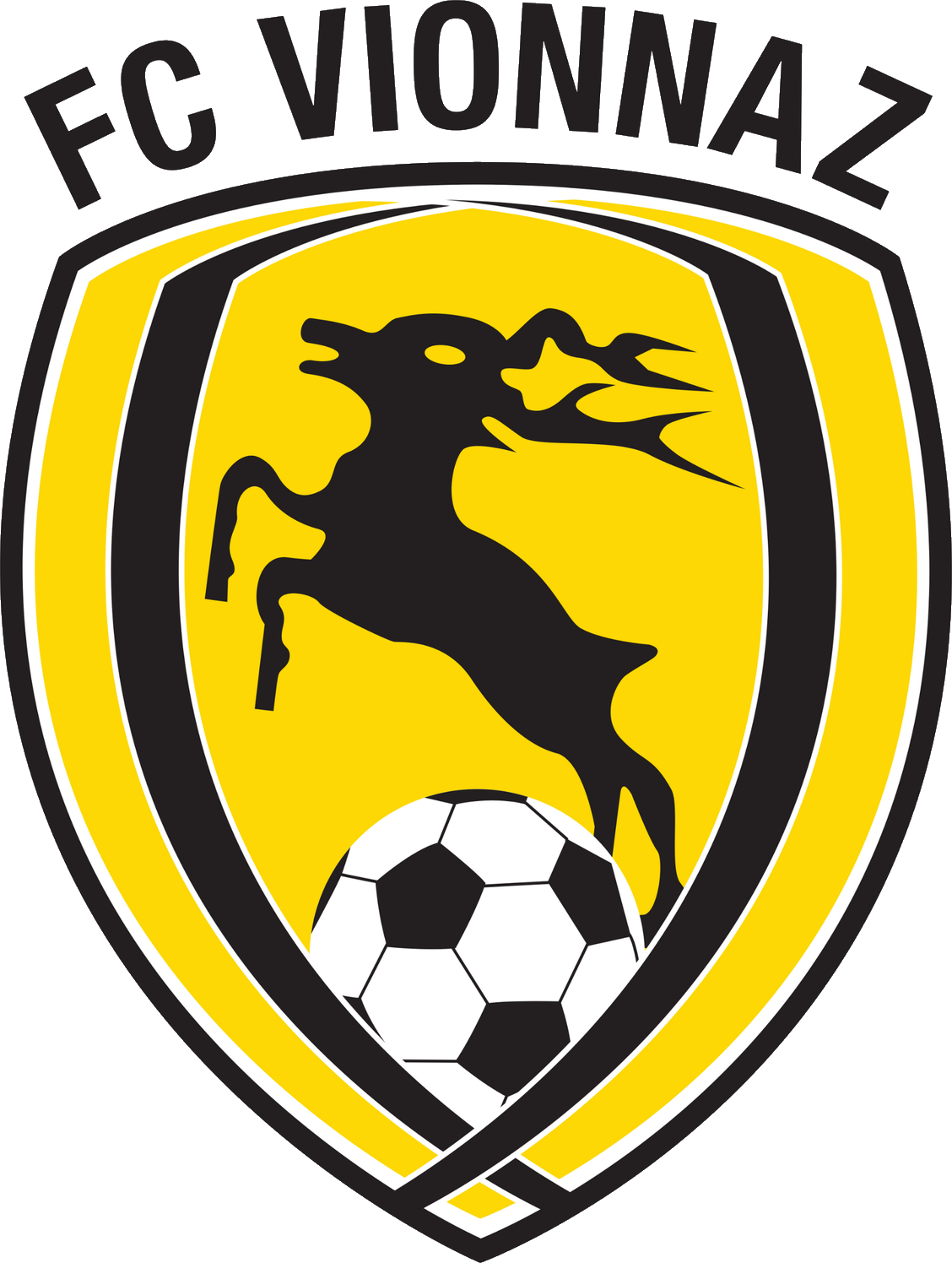 Fussballclub Vionnaz